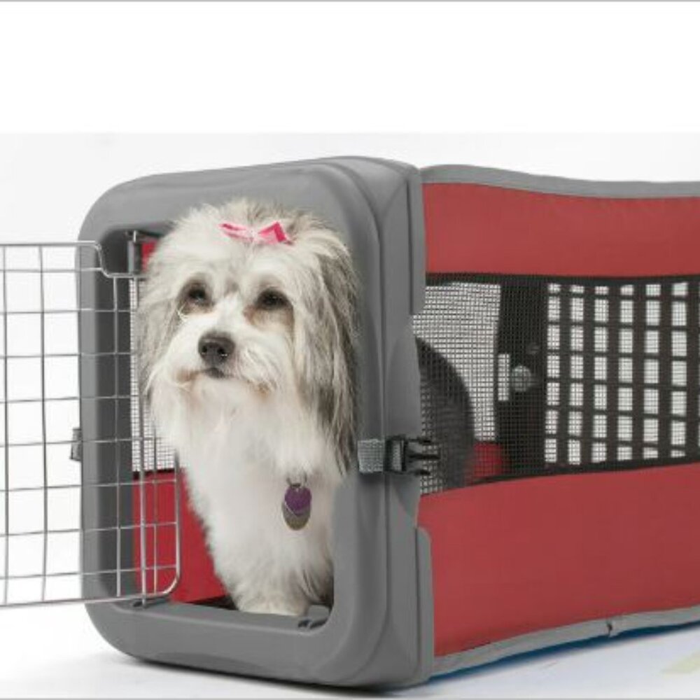 Vibrant Life pop up Kennel